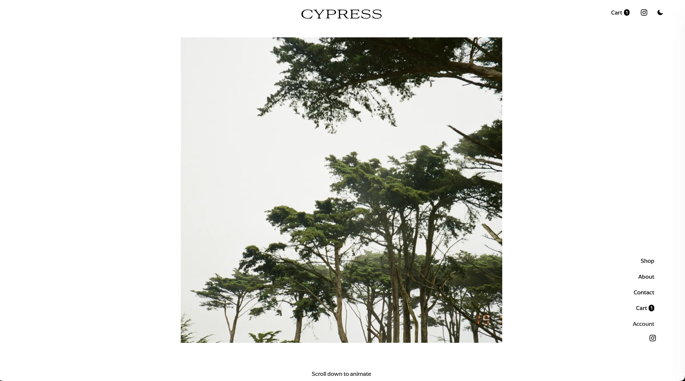 The Cypress Clothiers homepage, a full-width photograph of trees against a pale sky